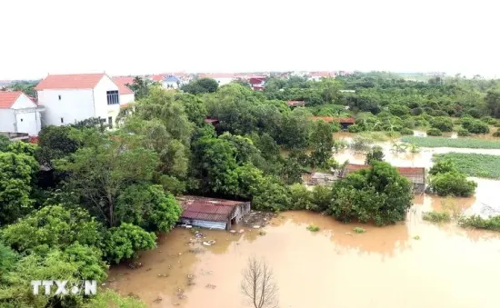 Hưng Yên phát lệnh báo động 2 trên tuyến đê tả sông Hồng