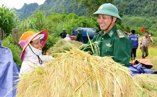 Bộ đội biên phòng gặt lúa chạy lũ cho đồng bào biên giới