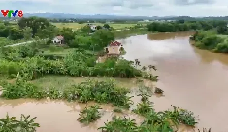 Lũ trên sông Bưởi dâng cao gây ngập 85 nhà dân