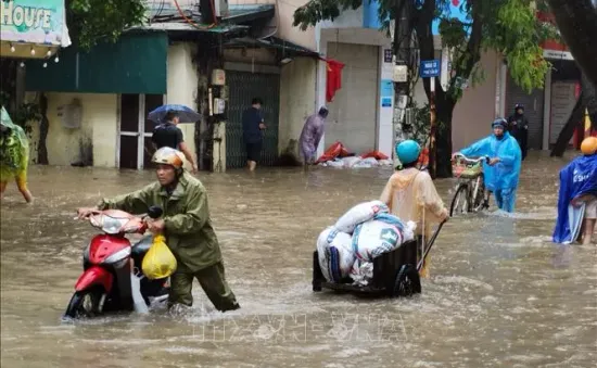 Sẵn sàng di dời người dân vùng lũ Phúc Xá - Ba Đình (Hà Nội) ra khỏi bờ đê sông Hồng