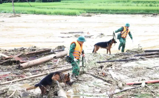 Vụ sạt lở tại Làng Nủ (Lào Cai): “Tìm cái còn trong cái mất” để giảm tối đa đau thương