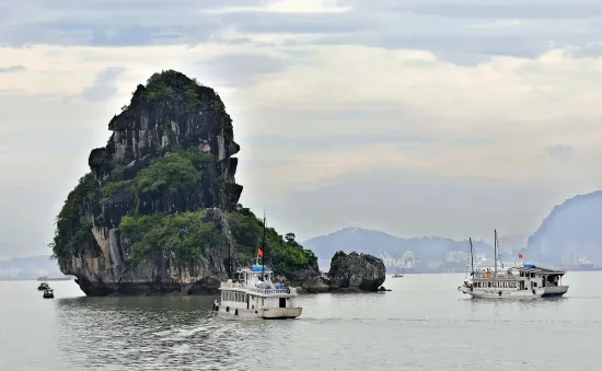 3 ngày làm sạch Vịnh Hạ Long