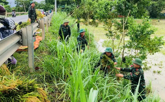 Chính phủ ban hành 6 nhóm nhiệm vụ, giải pháp trọng tâm khắc phục hậu quả bão số 3, khôi phục sản xuất kinh doanh