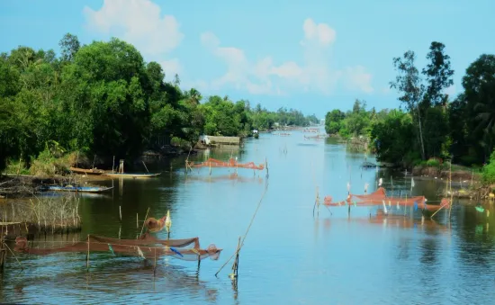 Cà Mau: Thực hiện giải tỏa các hàng đáy và hoạt động khai thác thủy sản trên sông, rạch