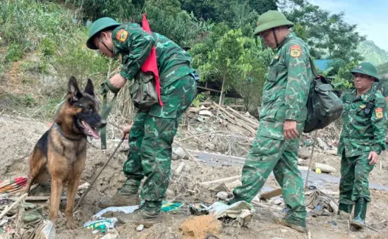 Đưa chó nghiệp vụ đến Nậm Tông (Lào Cai) tìm nạn nhân mất tích