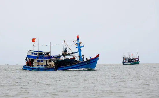 Tăng cường giám sát với tàu cá, chống các hành động khai thác bất hợp pháp