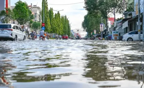 Cần Thơ: Tăng cường phòng, chống dịch bệnh, vệ sinh môi trường