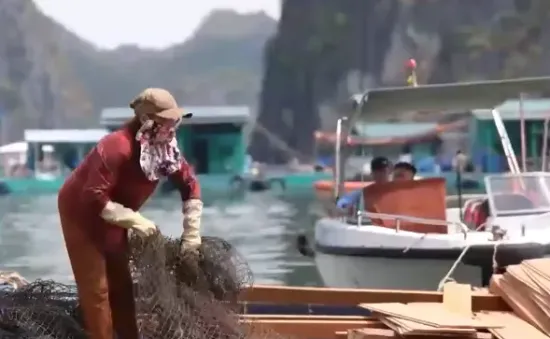 Cuộc sống dần trở lại bình thường sau bão ở Cát Bà