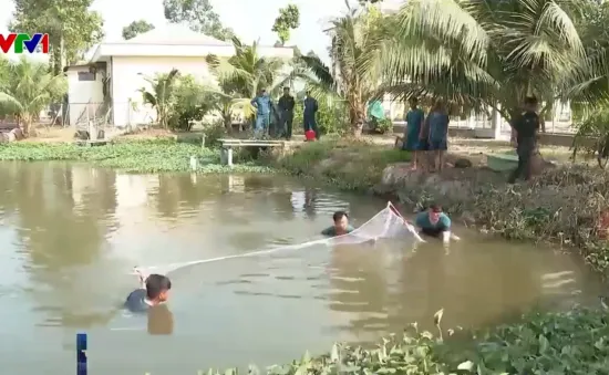 Bộ đội hậu cần phát huy sáng tạo trong sản xuất