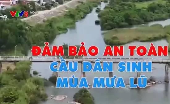 Đảm bảo an toàn cho cầu dân sinh trong mùa mưa lũ