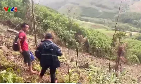Phá rừng - Trách nhiệm thuộc về ai ?