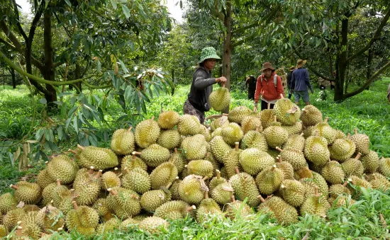 Nhiều dư địa trong hợp tác thương mại Việt Nam - Trung Quốc