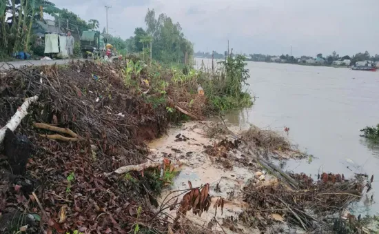 An Giang: Sạt lờ bờ sông Hậu do mưa lũ