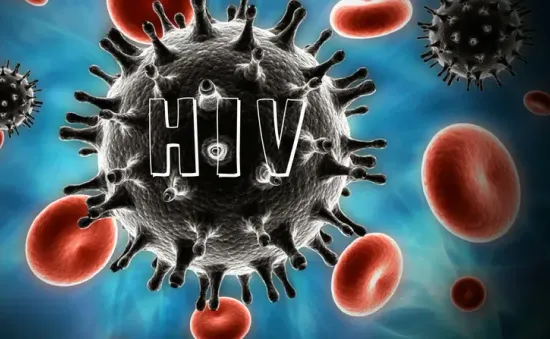 Đồng Nai: Tỷ lệ nhiễm HIV ở nhóm đồng giới nam tăng mạnh và trẻ hóa