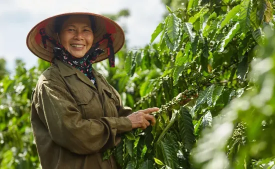 Việt Nam thuộc top đầu ASEAN về "đầu tư tác động"