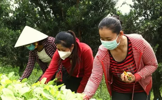 Tiền Giang: Quan tâm hỗ trợ vốn, tạo việc làm cho hội viên phụ nữ nghèo