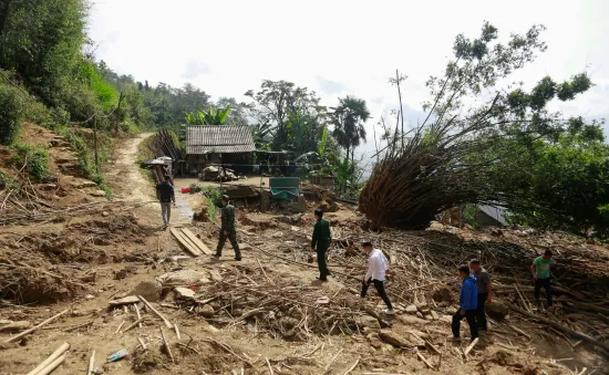 Sống sau lũ 2024: Chúng tôi sẽ đến tận nơi, trao tận tay con giống cho người dân