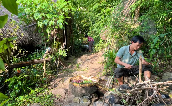 Bỏ phố vào rừng để giữ đại ngàn xanh