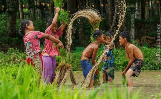 Ngày hội xuống đồng của đồng bào Khmer