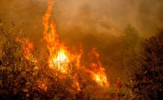 Cháy rừng nghiêm trọng ở Nam California (Mỹ) phá hủy 132 công trình