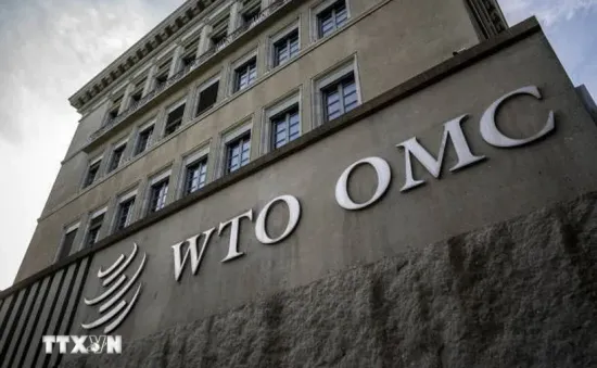 WTO có thể đẩy nhanh quy trình tái bổ nhiệm Tổng Giám đốc