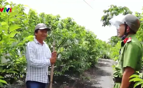 Gia tăng các vụ hái trộm mãng cầu ở Tây Ninh