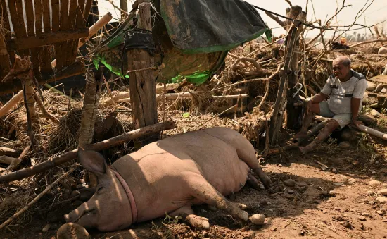 Bão chồng bão, Philippines chuẩn bị ứng phó với cơn bão thứ 6 Manyi