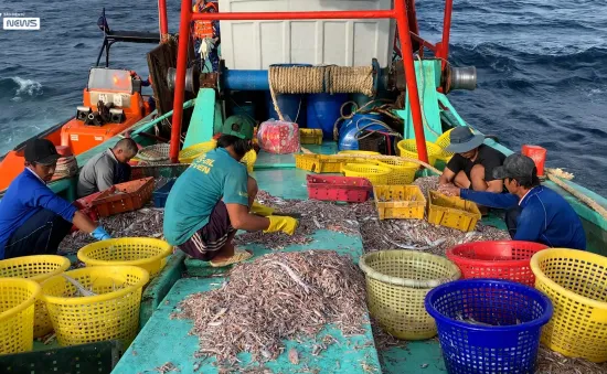 Việt Nam sẵn sàng đón đoàn thanh tra EC về chống khai thác IUU