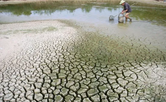 Thu hút tài chính khí hậu tại COP29