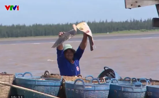 Đóng đáy hàng khơi - văn hóa biển đặc trưng của Đồng bằng sông Cửu Long