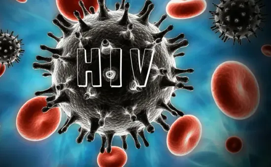 Số người nhiễm HIV mới ở Hải Dương giảm