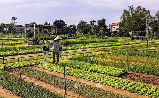 Lần đầu tiên Việt Nam đăng cai tổ chức Hội nghị quốc tế về Du lịch nông thôn