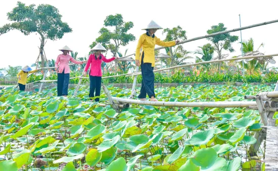 Kiên Giang đẩy mạnh phát triển du lịch nông nghiệp