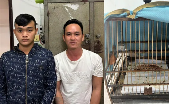 Nam thanh niên ngang nhiên vào nhà dân cướp lồng chim chào mào