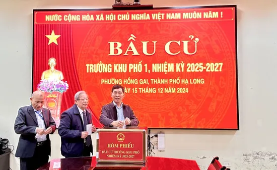 Sôi nôi bầu cử trưởng thôn, bản và khu phố ở Quảng Ninh