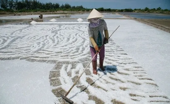 Nghề sản xuất muối Lý Nhơn - Cần Giờ được công nhận làng nghể truyền thống