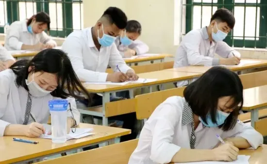 Tổ chức thi học sinh giỏi tin học định hướng AI