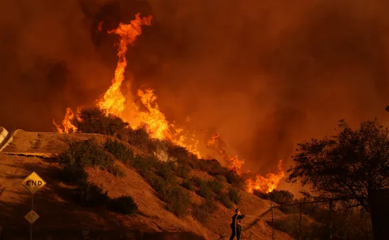 Chạy đua ngăn cháy rừng lan rộng ở California (Mỹ), 16 người tử vong