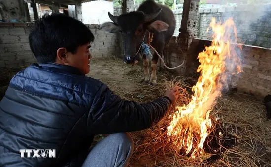 Thời tiết đêm 16/1: Nhiều khu vực vùng núi phía Bắc rét đậm, rét hại