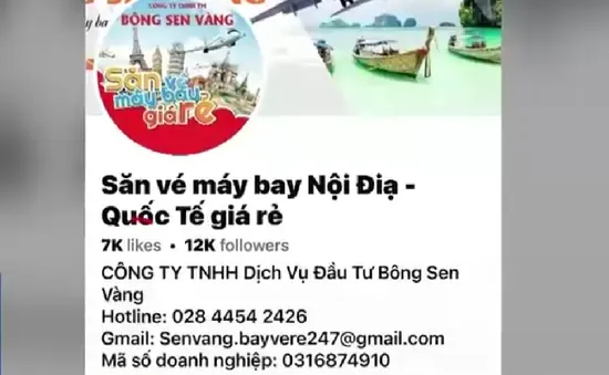 Cảnh giác tình trạng lừa đảo mua vé máy bay gia tăng