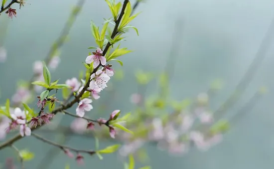 Những điều cấm kỵ khi bao sái bát hương