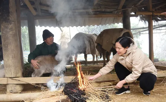 Chủ động ứng phó với rét đậm, rét hại và gió mạnh trên biển