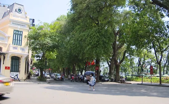 Di tích 22 Hàng Buồm và ngôi nhà di sản 87 Mã Mây mở cửa miễn phí từ 29 -30/01/2025