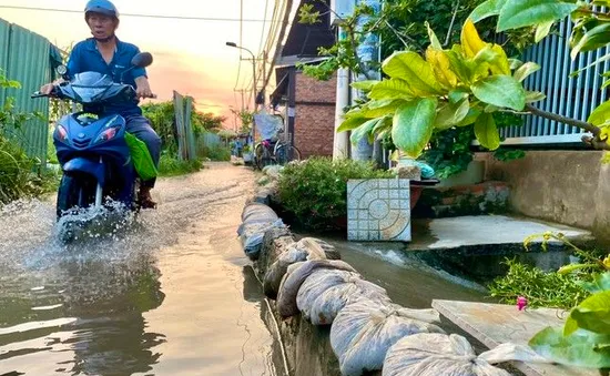 TP Hồ Chí Minh: Nguy cơ ngập úng do triều cường ngày mùng 2 Tết