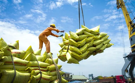 Việt Nam có 158 thương nhân xuất khẩu gạo