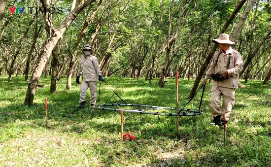 Tạm dừng các hoạt động rà phá bom mìn tại Quảng Bình