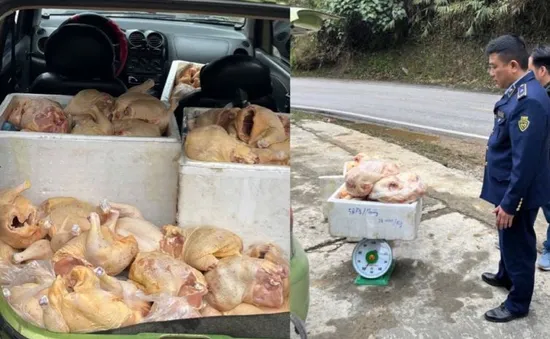 Hơn 180kg thịt gà bốc mùi trên đường từ Cao Bằng về Hà Nội tiêu thụ thì bị giữ