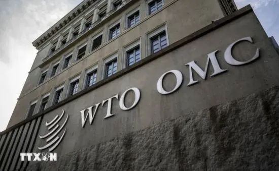 WTO tổ chức phiên họp về căng thẳng thương mại toàn cầu