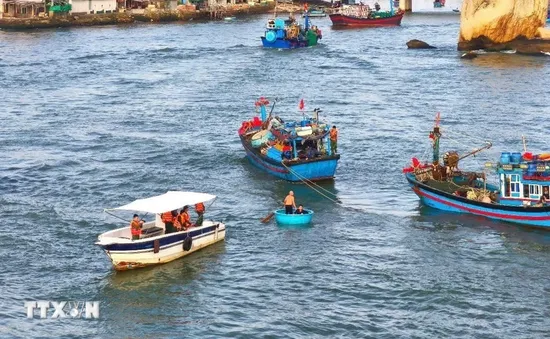 Tìm thấy thi thể ngư dân cuối cùng trong vụ tàu cá bị sóng lớn đánh chìm ở Nha Trang