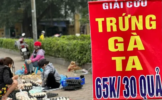 Giá trứng giảm mạnh
